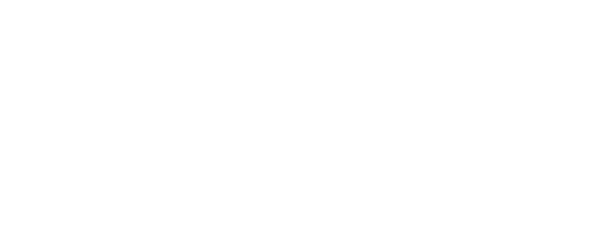 Dome Firenze